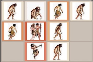 2048 human
